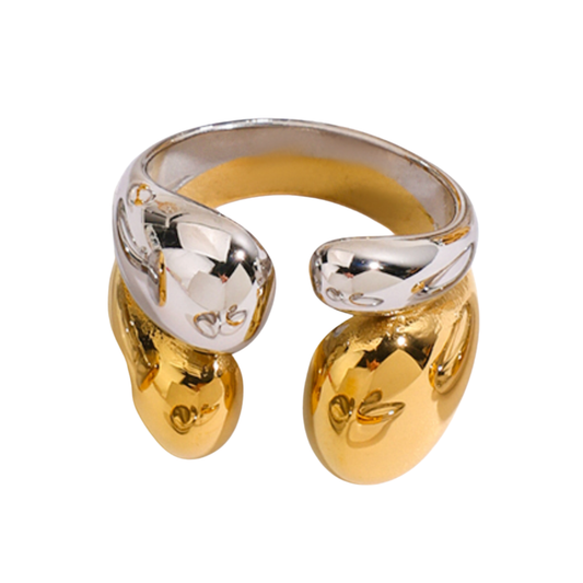Dualité Ring